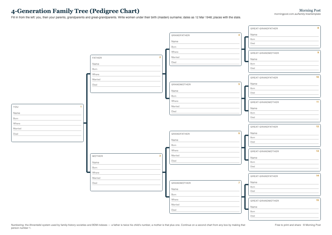 Preview of the 4-generation family tree pedigree chart: 15 numbered boxes from you to your great-grandparents