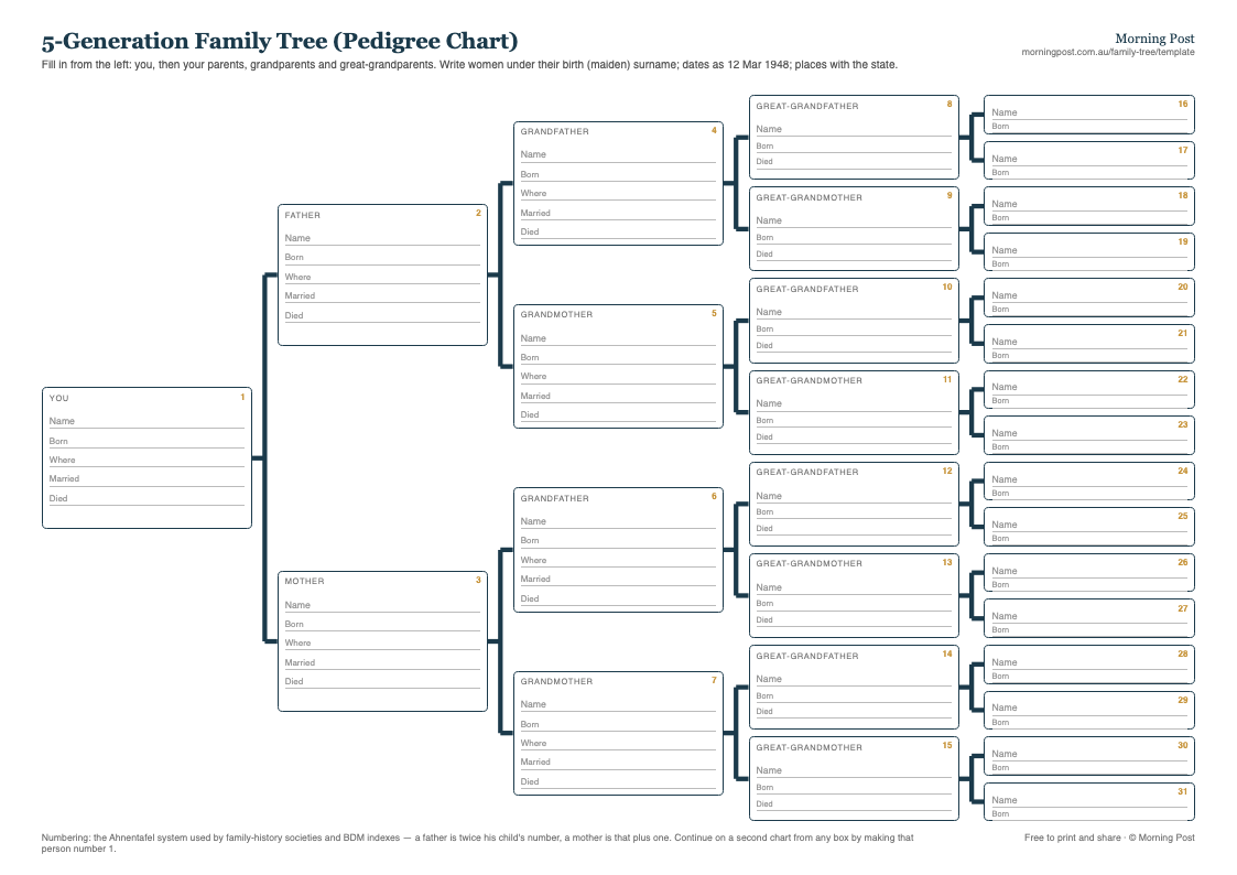 Preview of the 5-generation family tree pedigree chart: 31 numbered boxes out to great-great-grandparents